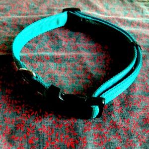 Dog collar NWOT Large / XL dog.Aqua Nylon🐕❤️❤️